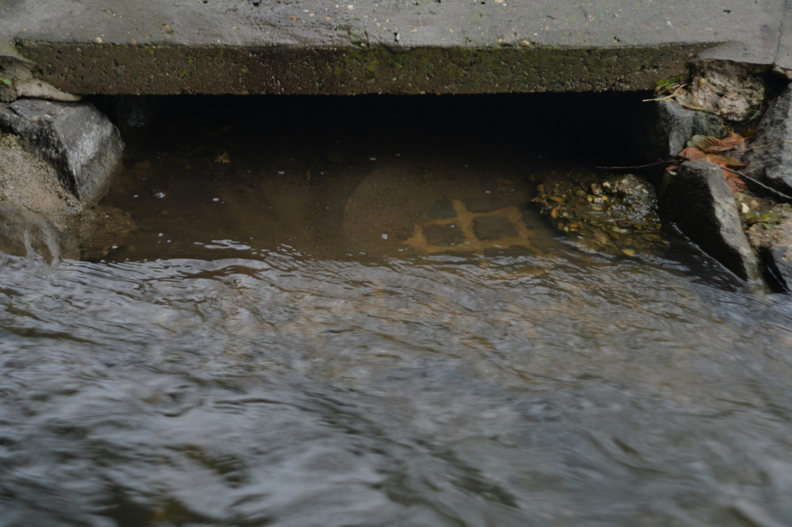 water rushing into a sewer drain