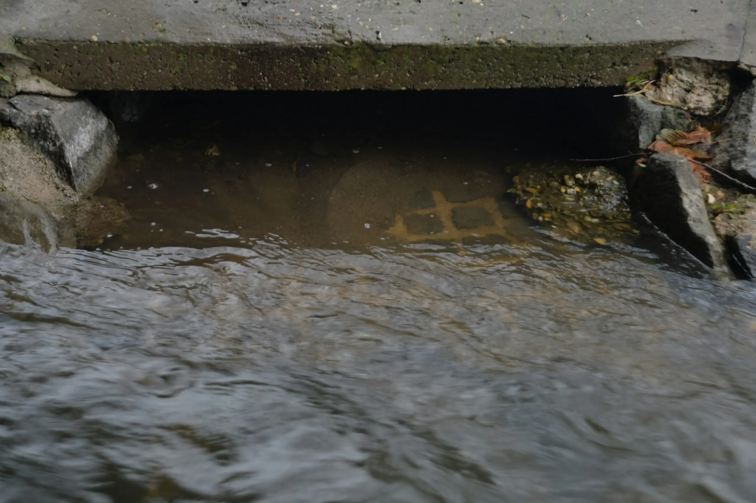 water rushing into a sewer drain