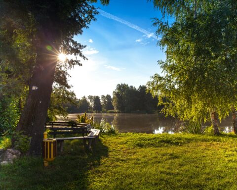 sun sets over a beautiful park with bench and lake