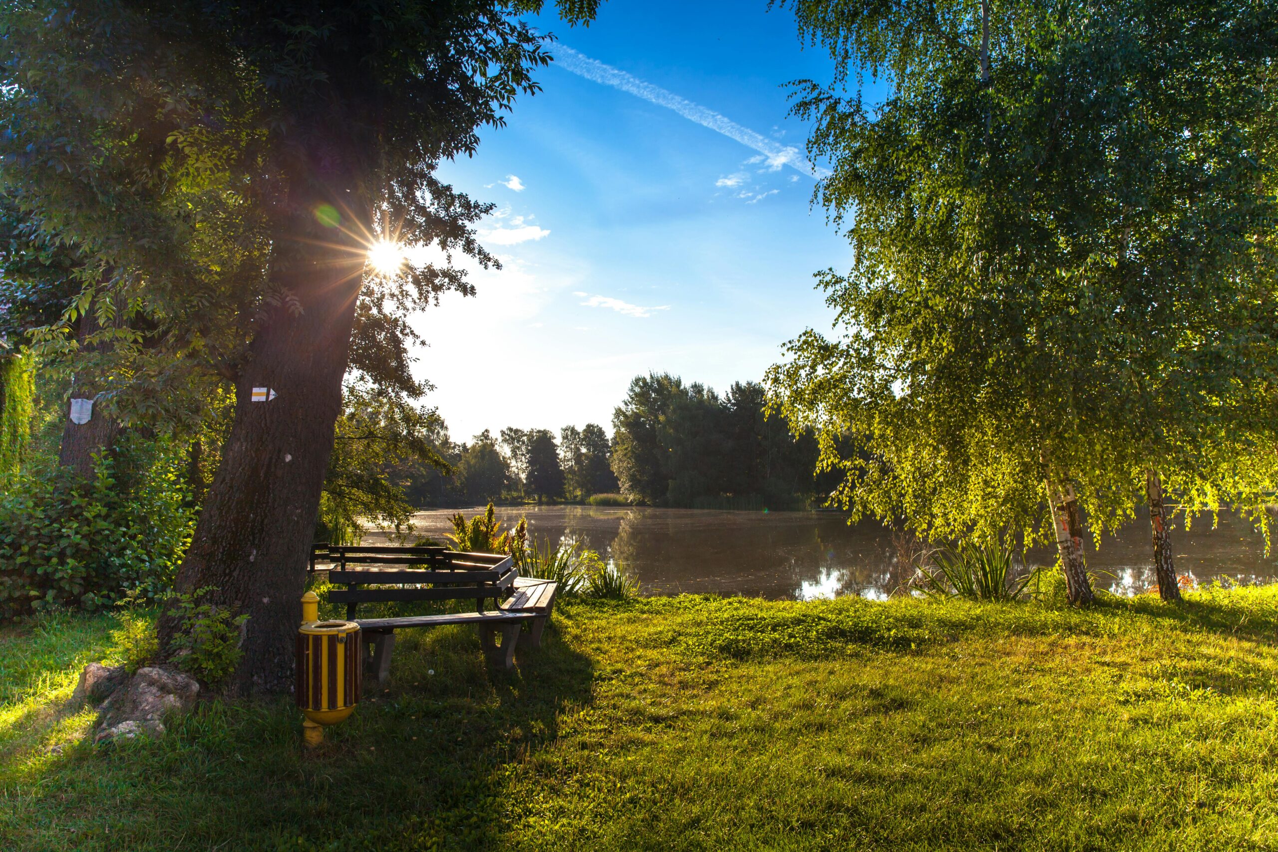 sun sets over a beautiful park with bench and lake