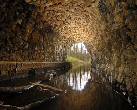Sticks float in a small body of water underneath a brick or stone tunnel.