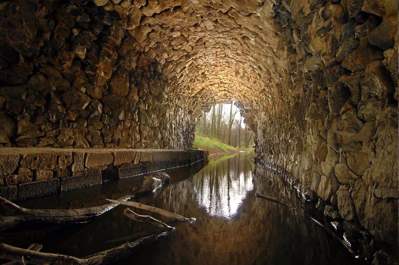 Sticks float in a small body of water underneath a brick or stone tunnel.