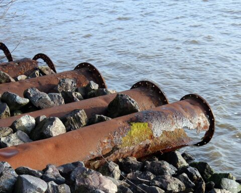 Five rusty pipes are illuminated by the sunlight and reflections from the water a few feet below.