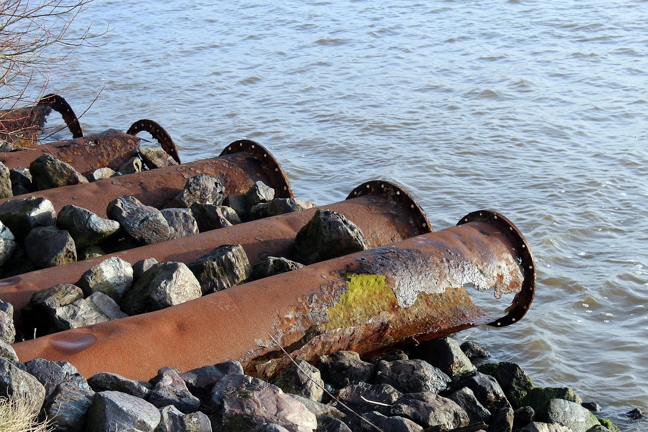 Five rusty pipes are illuminated by the sunlight and reflections from the water a few feet below.