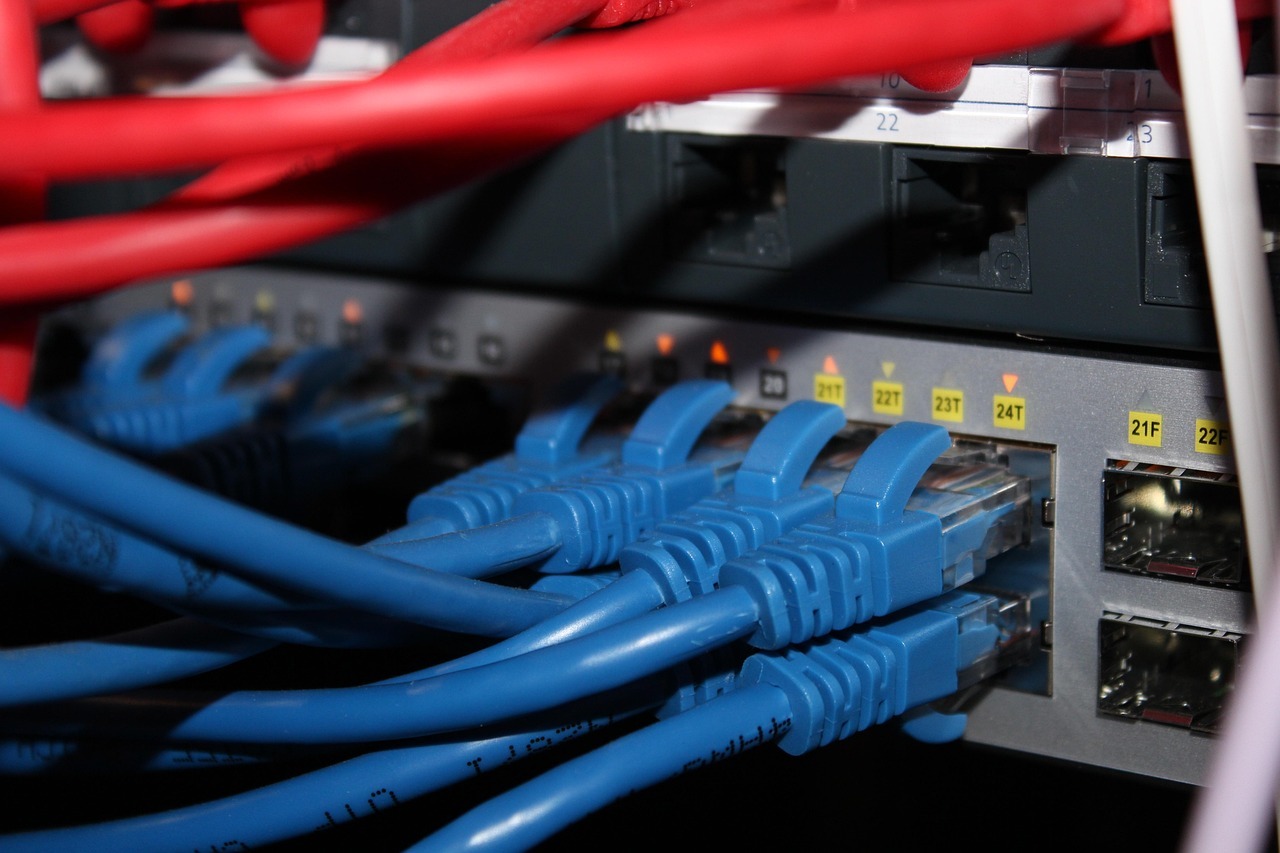 The image depicts a variety of blue and red cables plugged into an internet connection.
