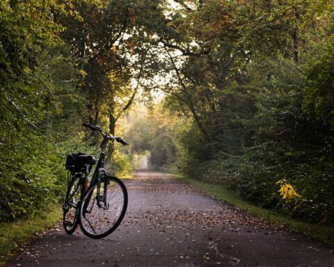 A bike is in the middle of a long straight trail in the woods.