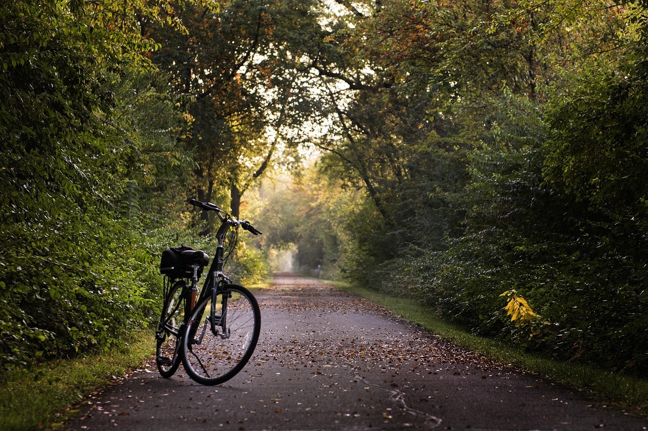 A bike is in the middle of a long straight trail in the woods.