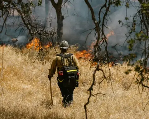 A firefighter watches on a burning fire in a forest in California.