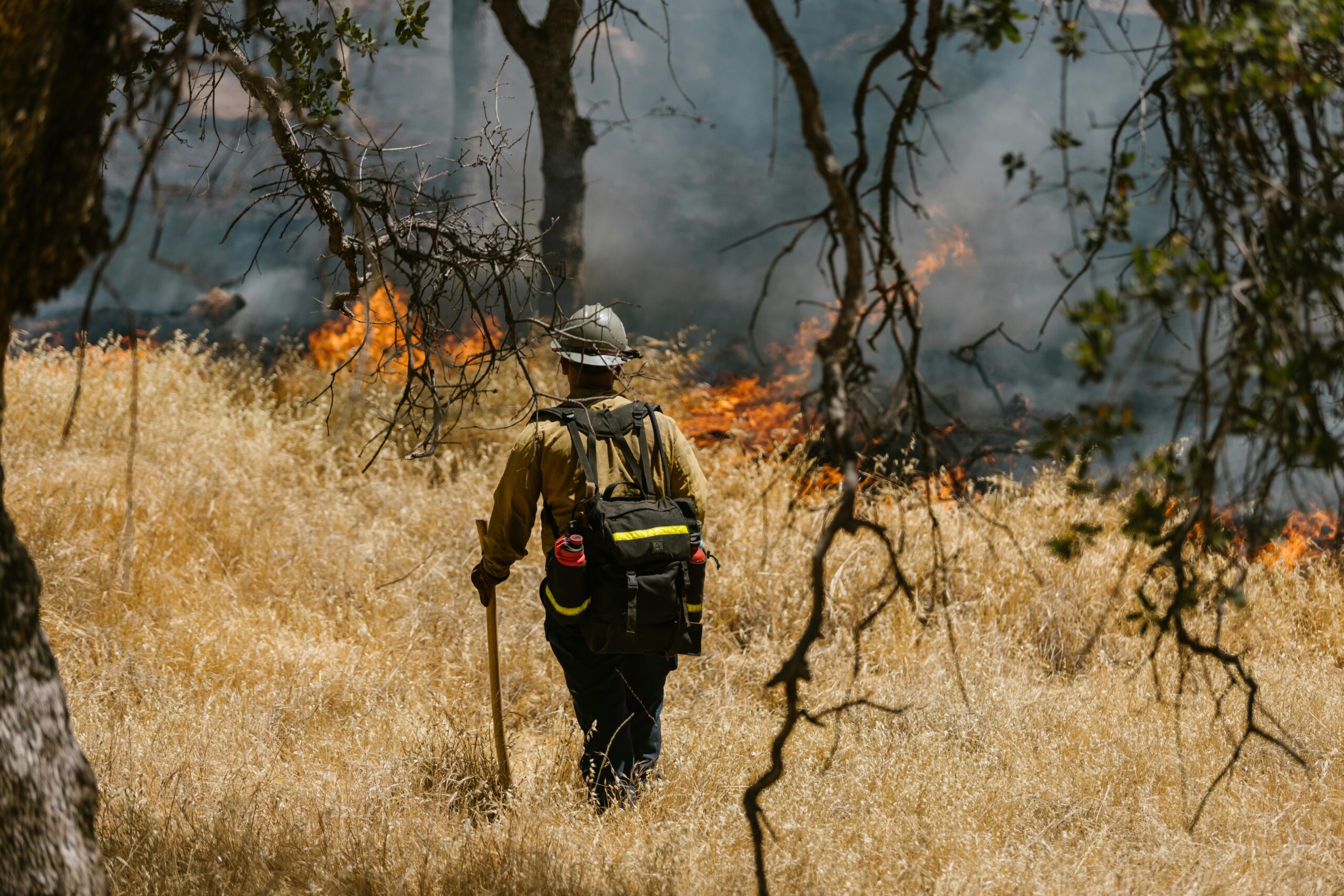 A firefighter watches on a burning fire in a forest in California.