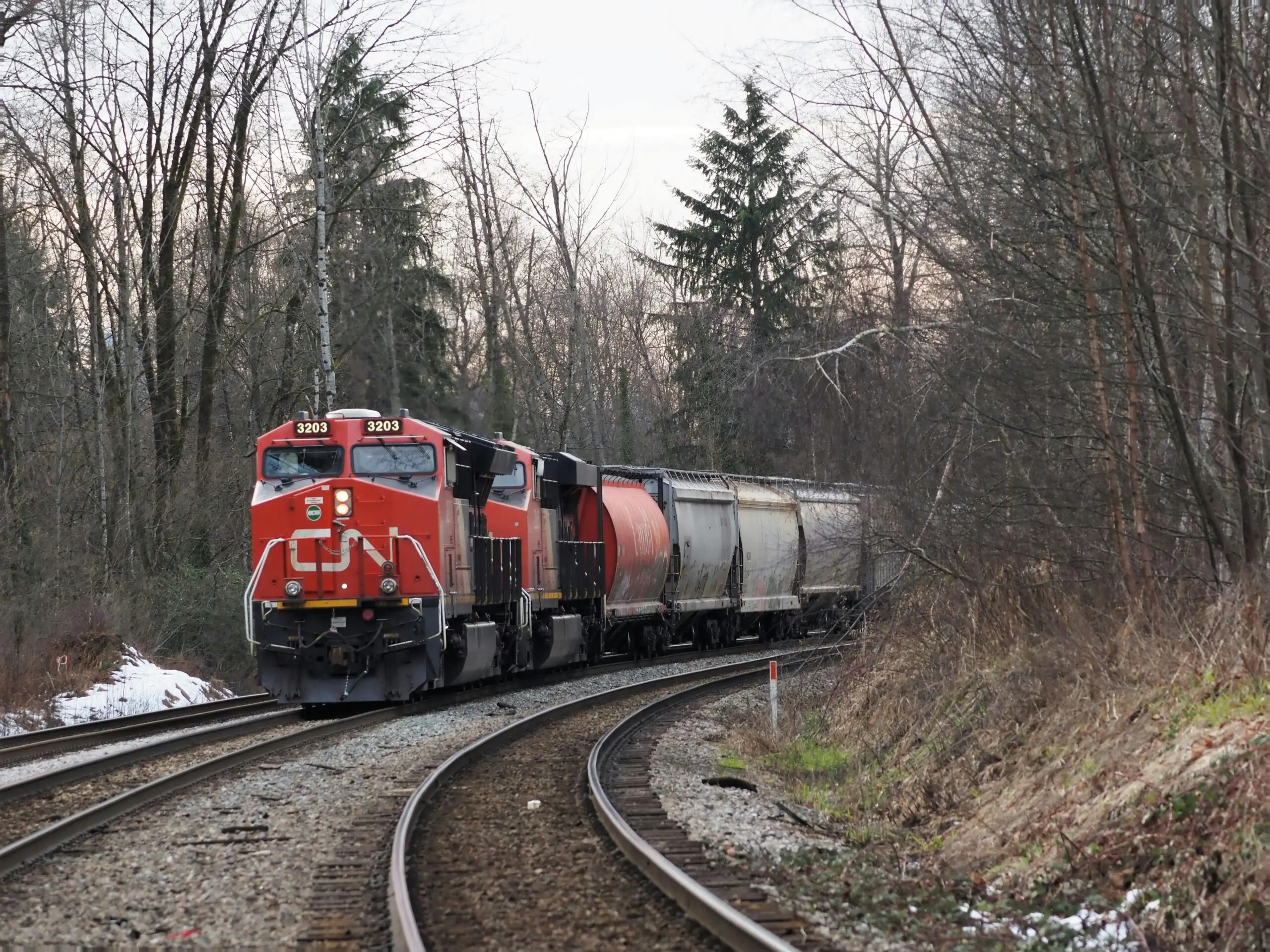 A Canadian National Railway locomotive on a railroad track between woodsy areas on either side.