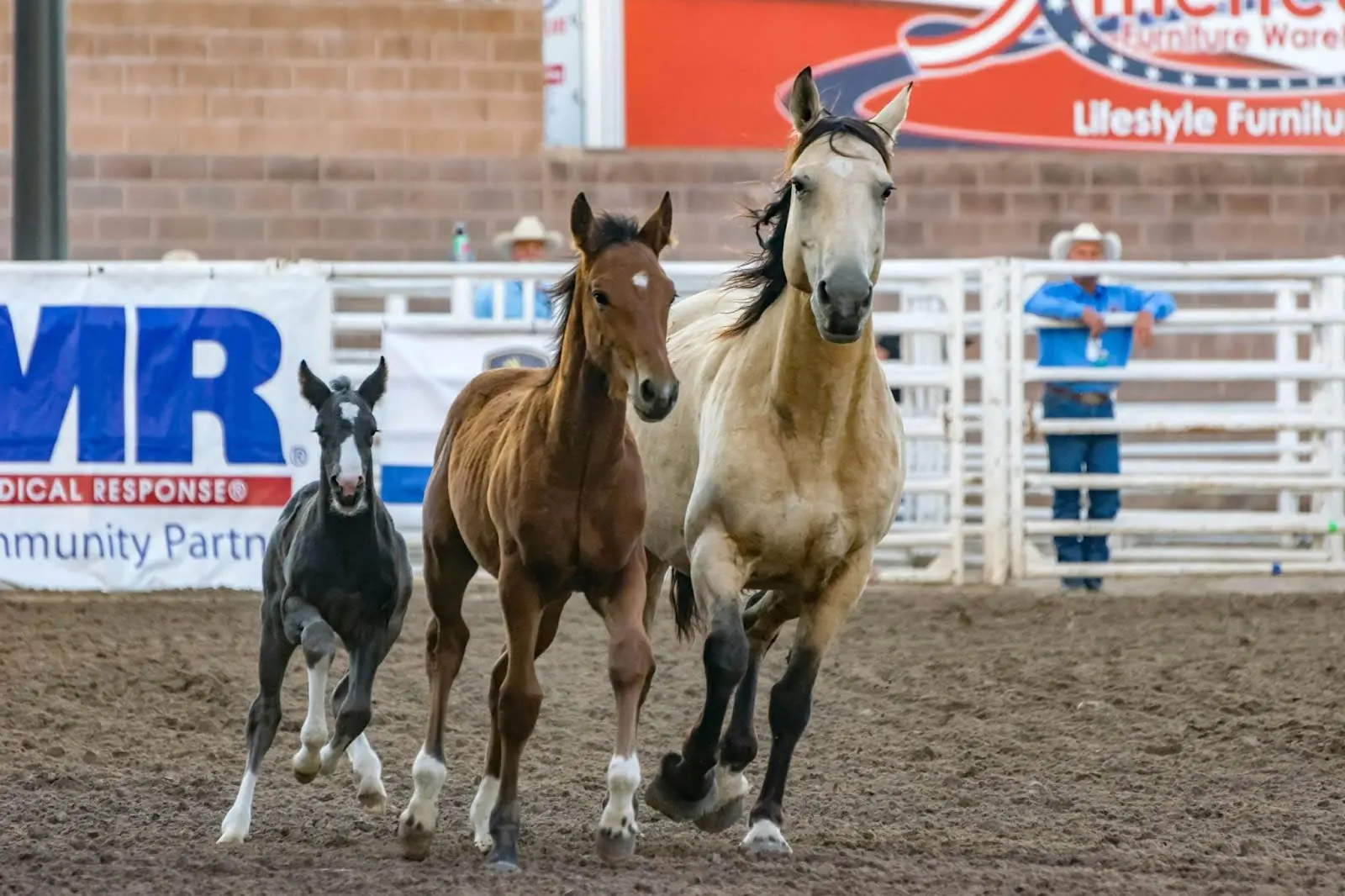 Three horses run in tandem in a fenced in dirt field onlooked by bystanders.