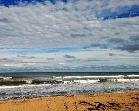 The image depicts a clear beach with rolling waves and a partially cloud sky.