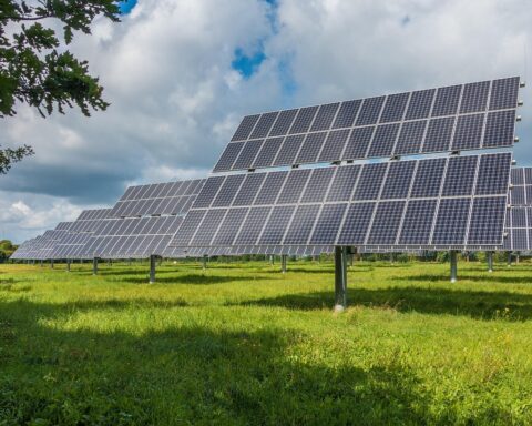Solarvoltaic panels in a green grass field near trees before a blue sky.