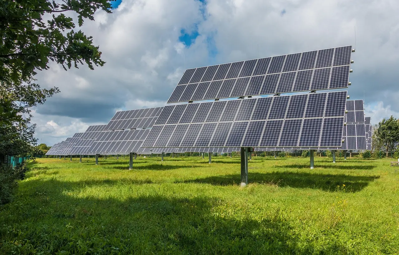 Solarvoltaic panels in a green grass field near trees before a blue sky.