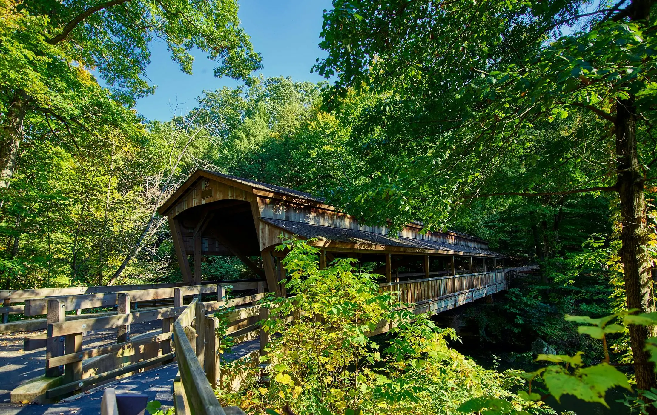 A wooden bridge is pictured in an Ohio forest.