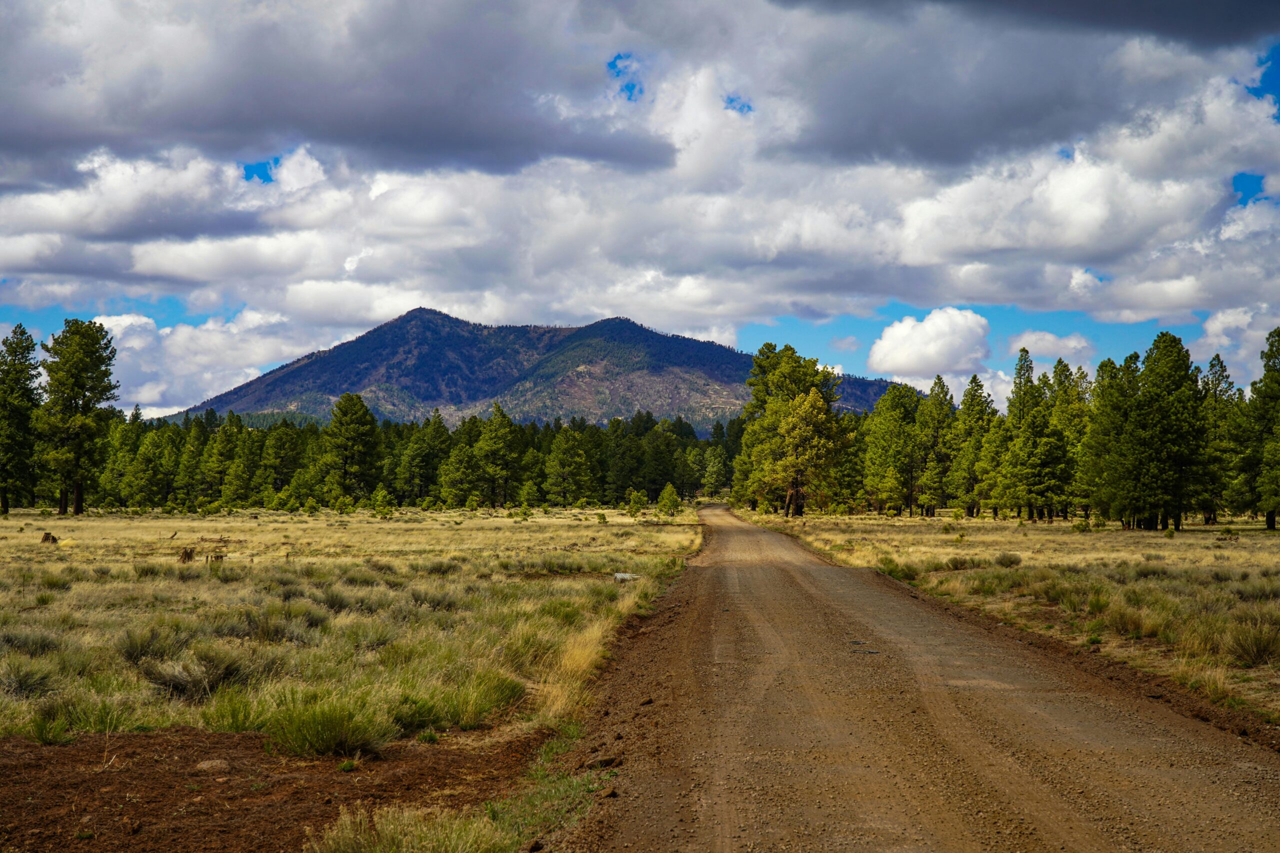 A dirt road leads to grouping of trees and a distant mountain in Flagstaff, Arizona.