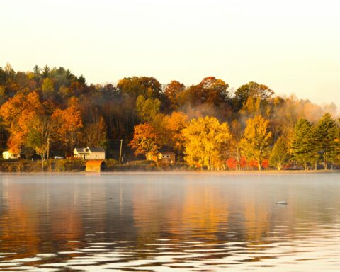 Houses line a body of water and trees in Vermont.