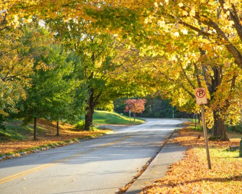 A scenic road in West Virginia.