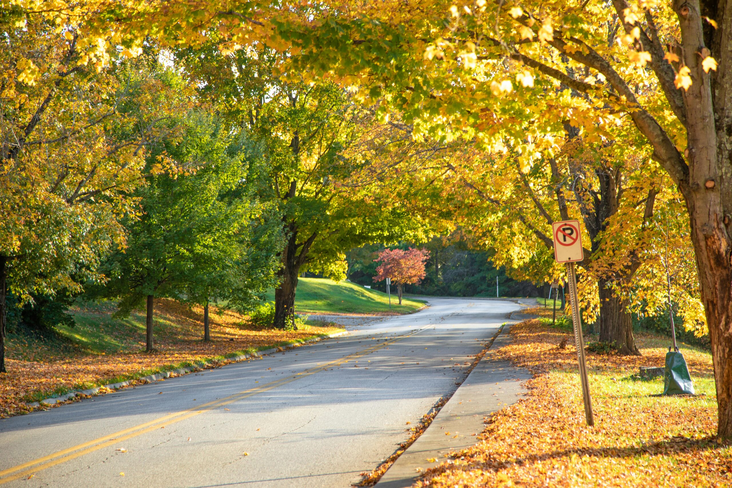 A scenic road in West Virginia.