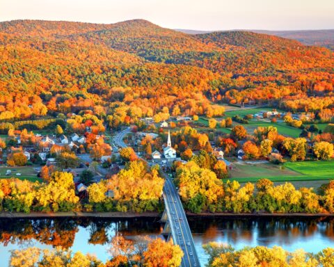 An Autumn forest with homes and other buildings littered between the trees in Connecticut.