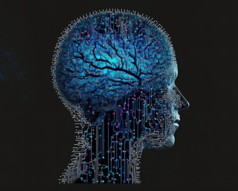 A digitized brain.