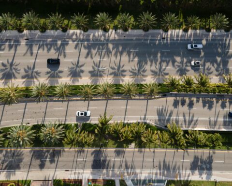 An aerial view of palm trees, cars and three highways.