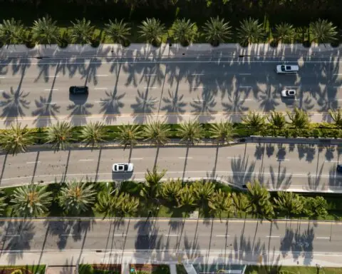 An aerial view of palm trees, cars and three highways.