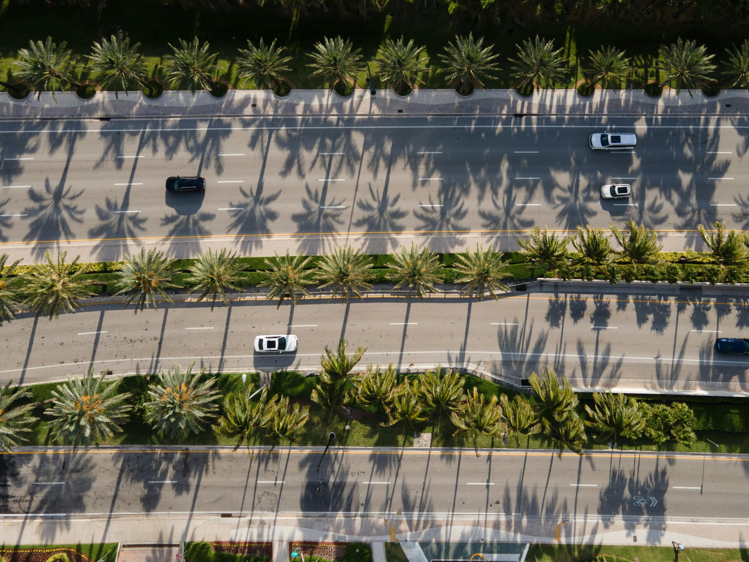 An aerial view of palm trees, cars and three highways.