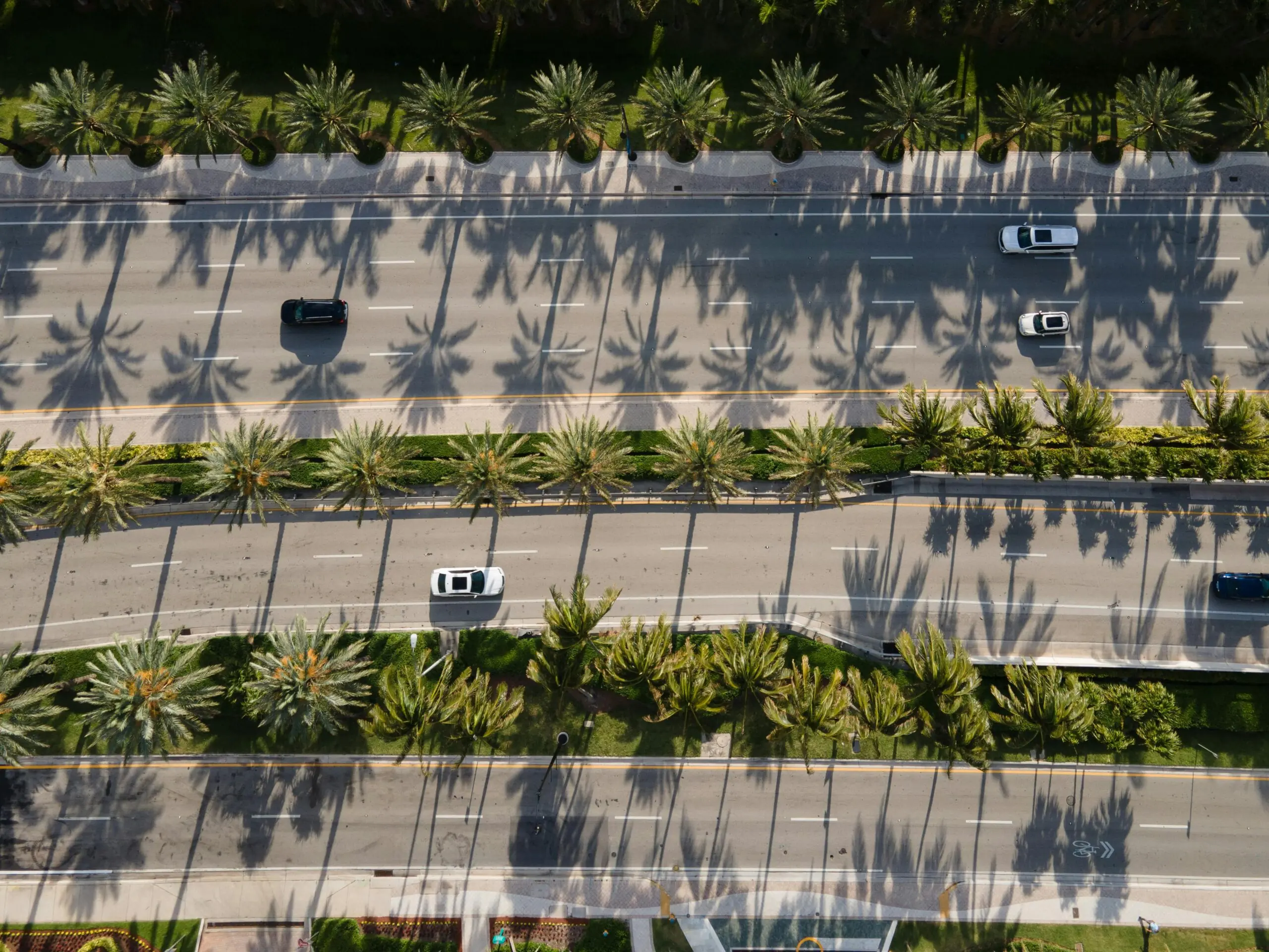 An aerial view of palm trees, cars and three highways.