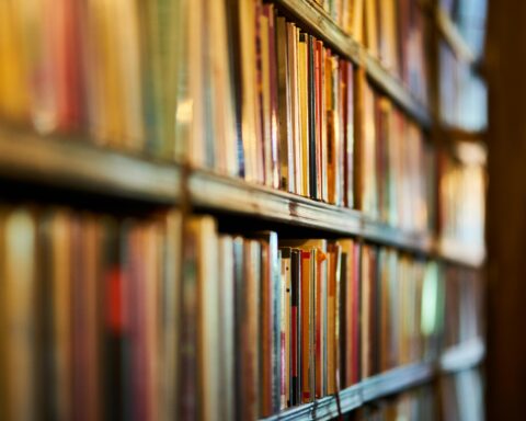An array of books sit on shelves.