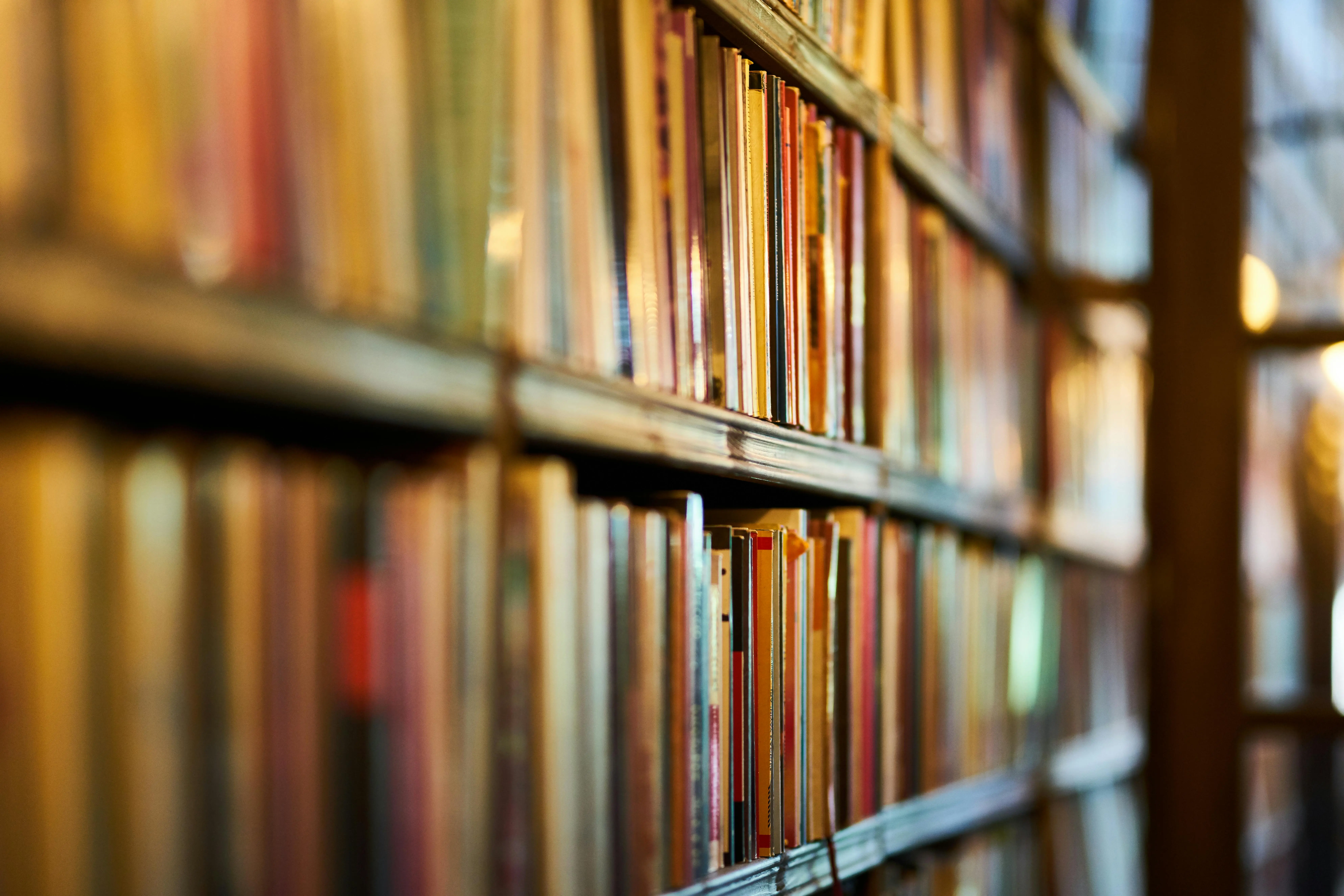 An array of books sit on shelves.