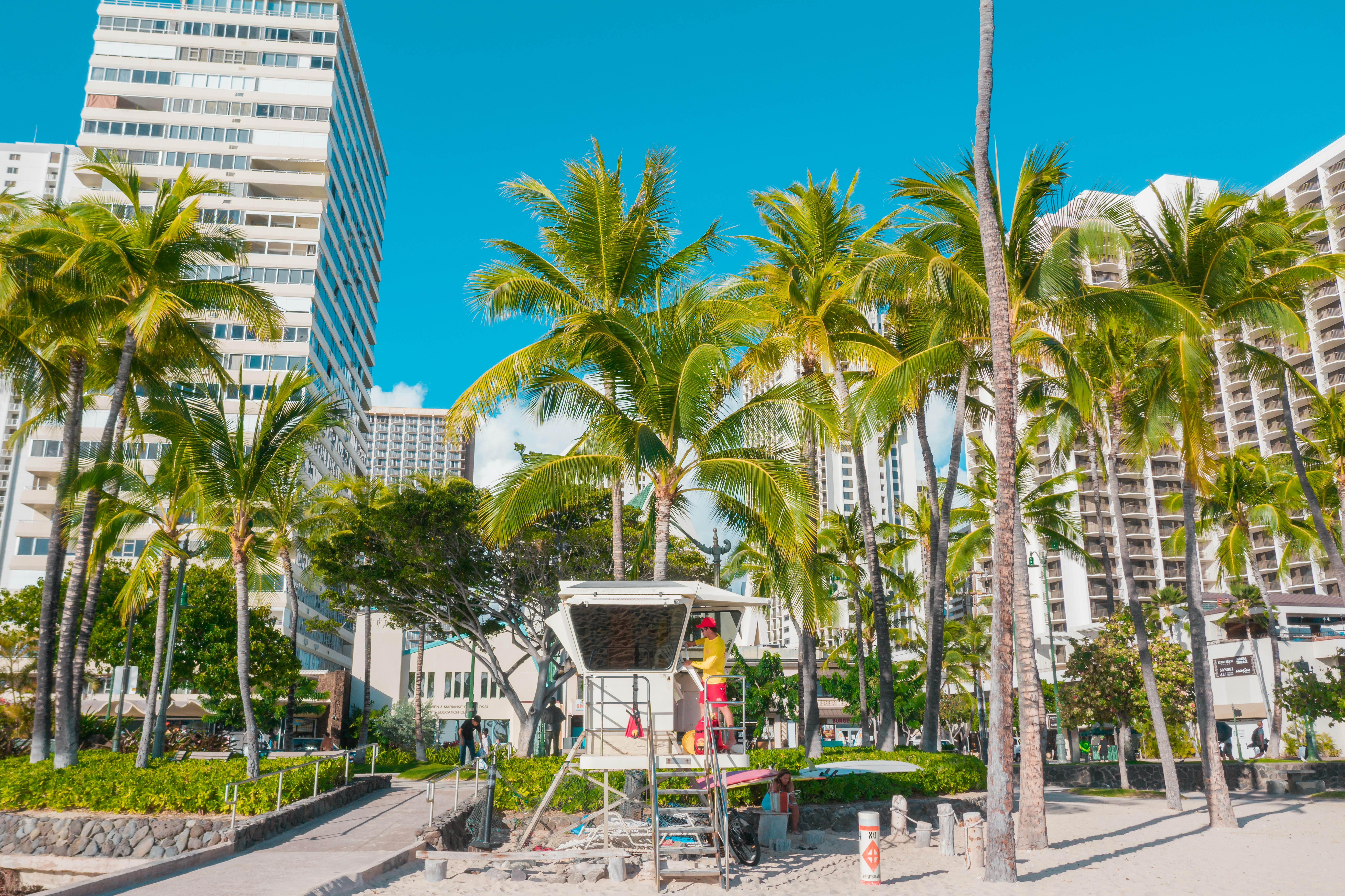 A lifeguard tower along a Hawaii beach with trees in Honolulu.
