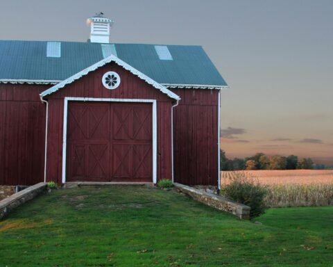 A red wooden barn outside near a lush wheat field in Maryland.