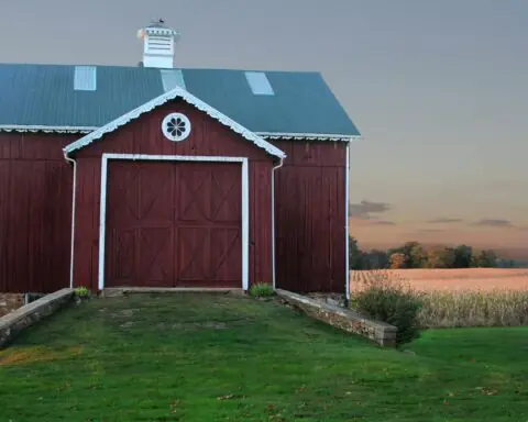 A red wooden barn outside near a lush wheat field in Maryland.