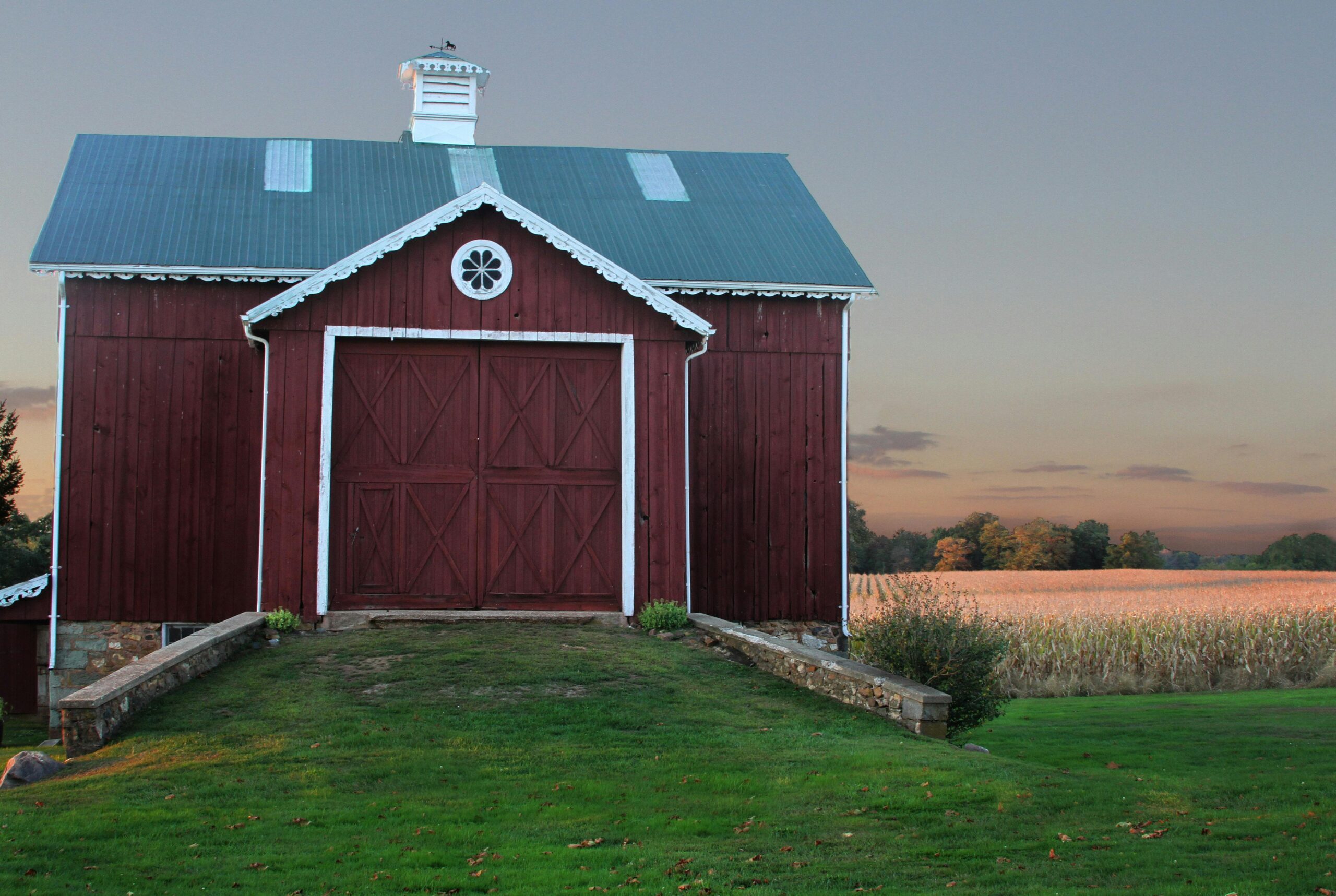 A red wooden barn outside near a lush wheat field in Maryland.