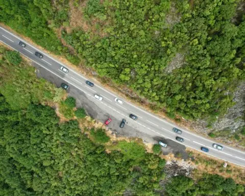 An aerial view of a long highway in between trees.