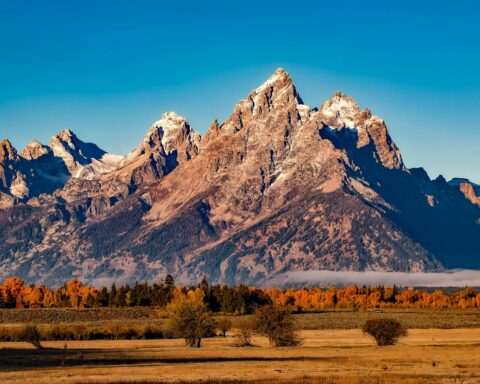 An American national park hosting a mountain range, flat grassy knolls and scattered dry-heat trees.