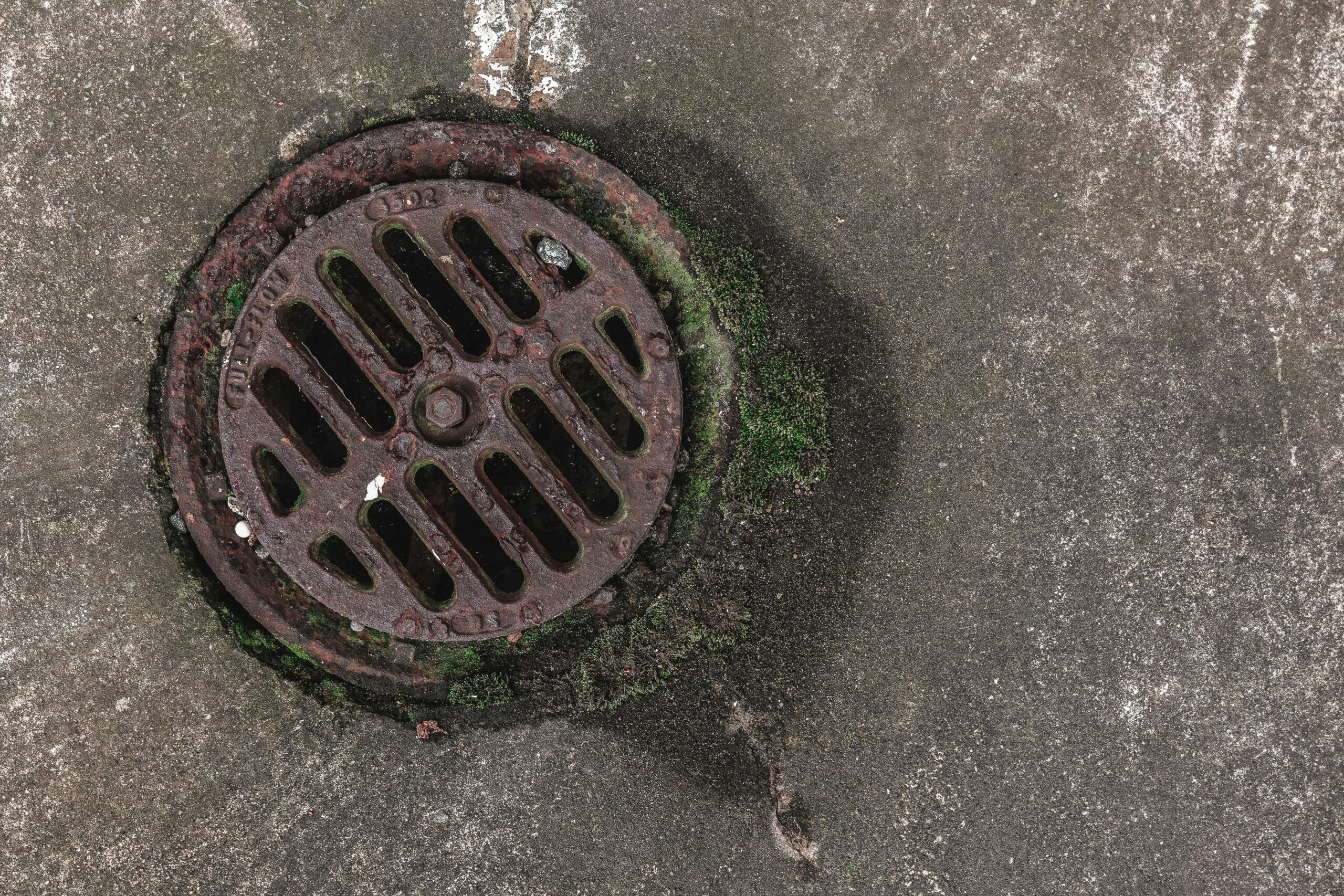 A sewer grate from above on an asphalt street.