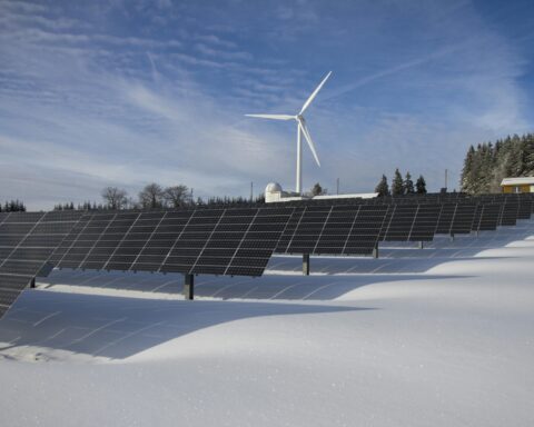 Solar panels and a distant wind turbine in the snow near trees.