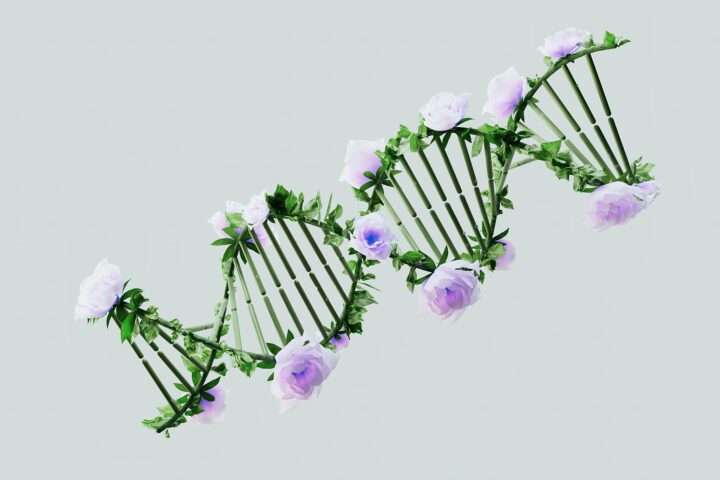 A digitized strain of DNA depicting artificial intelligence and medical science.