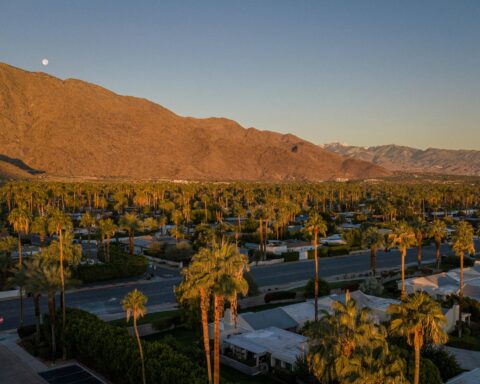 Palm trees and houses from an aerial view with a hill in the distance.