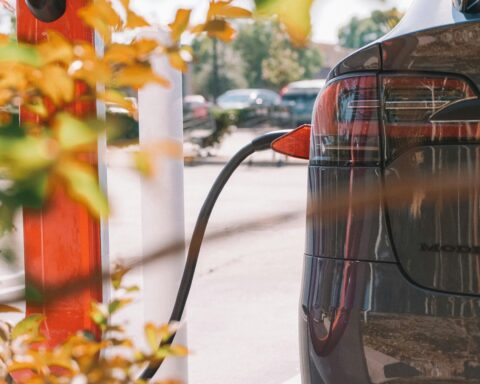 A black Tesla connects to a charging station behind a bush and leaves.