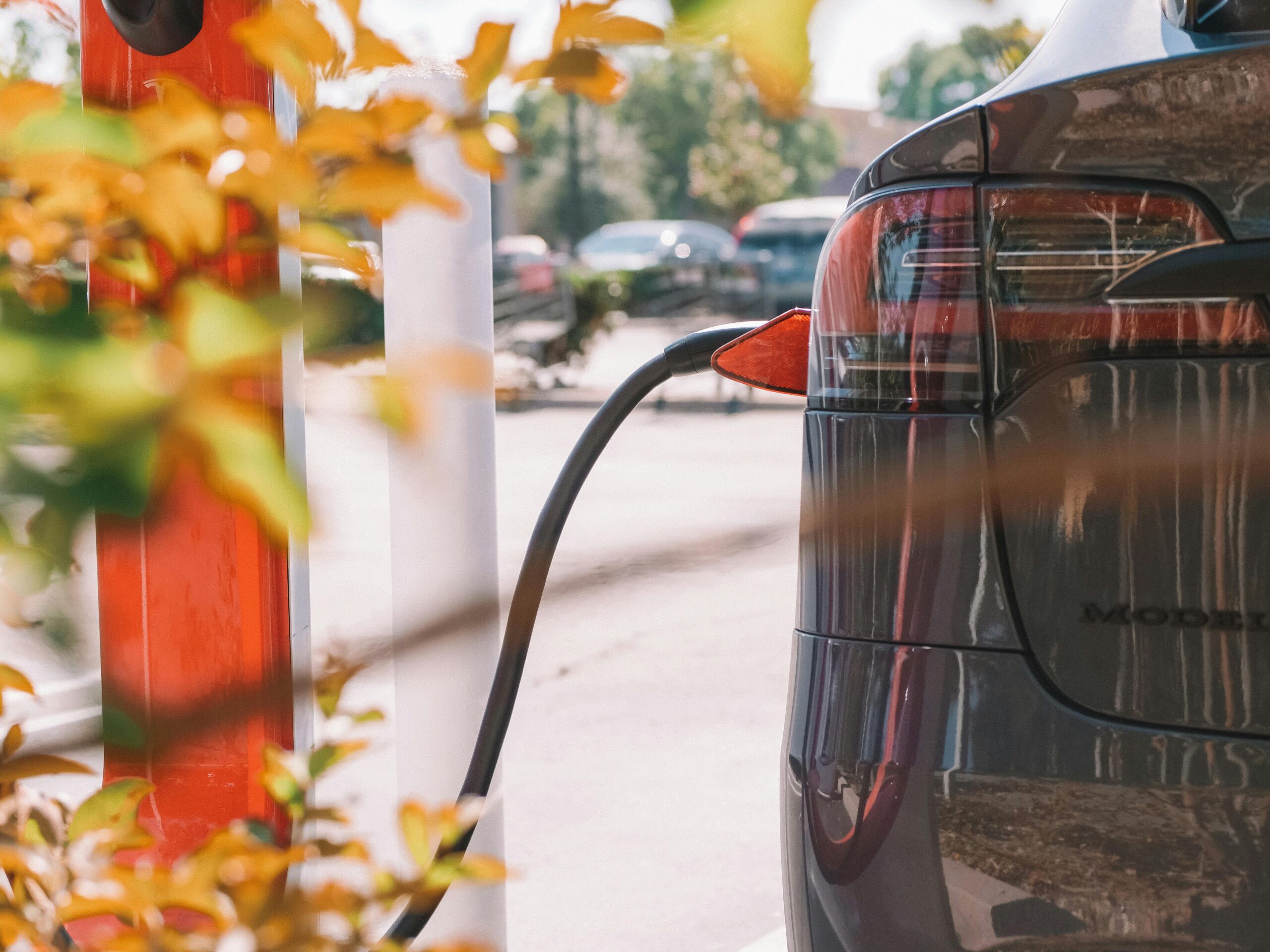 A black Tesla connects to a charging station behind a bush and leaves.