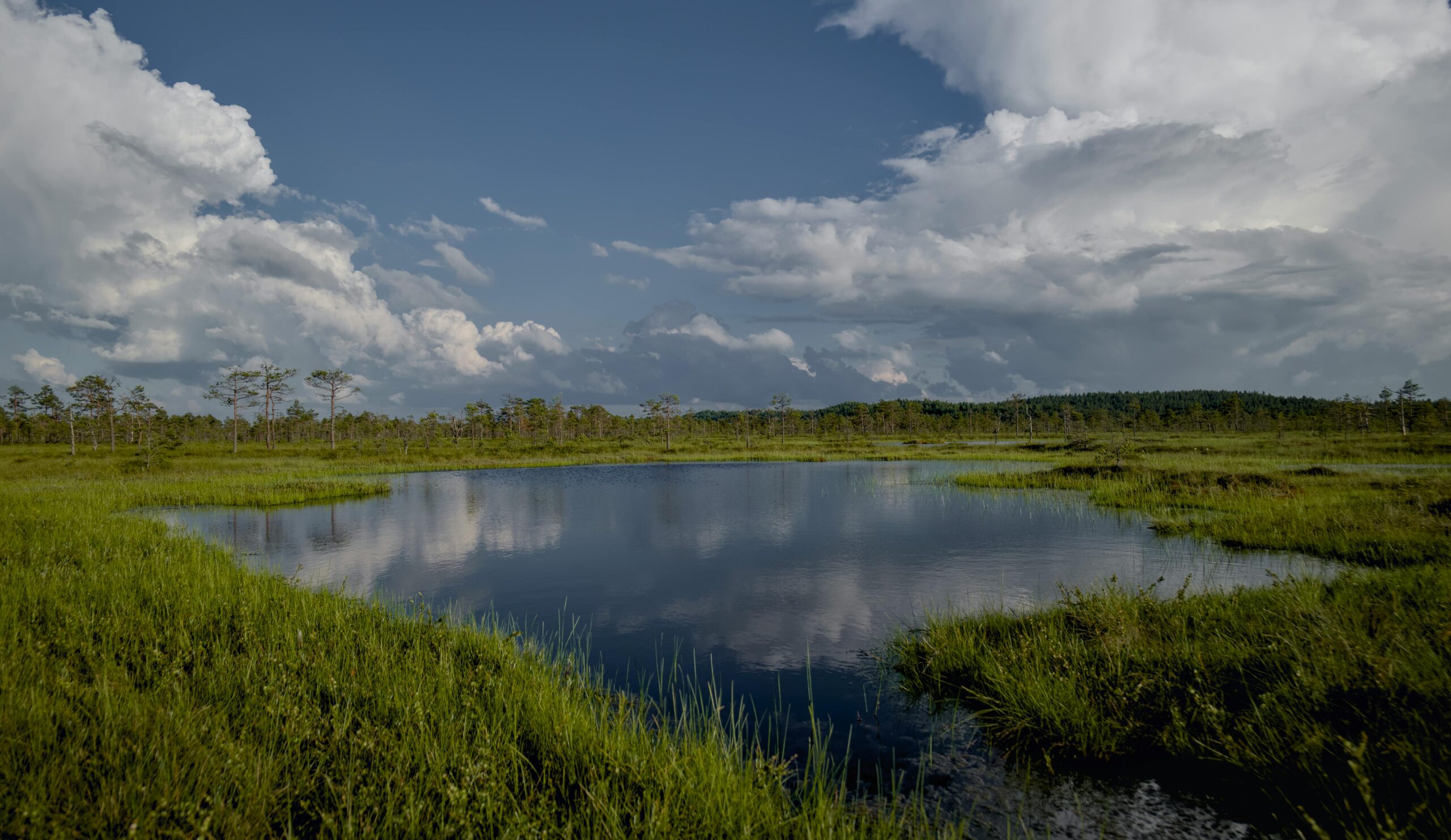 A scenic grass watery wetland area.