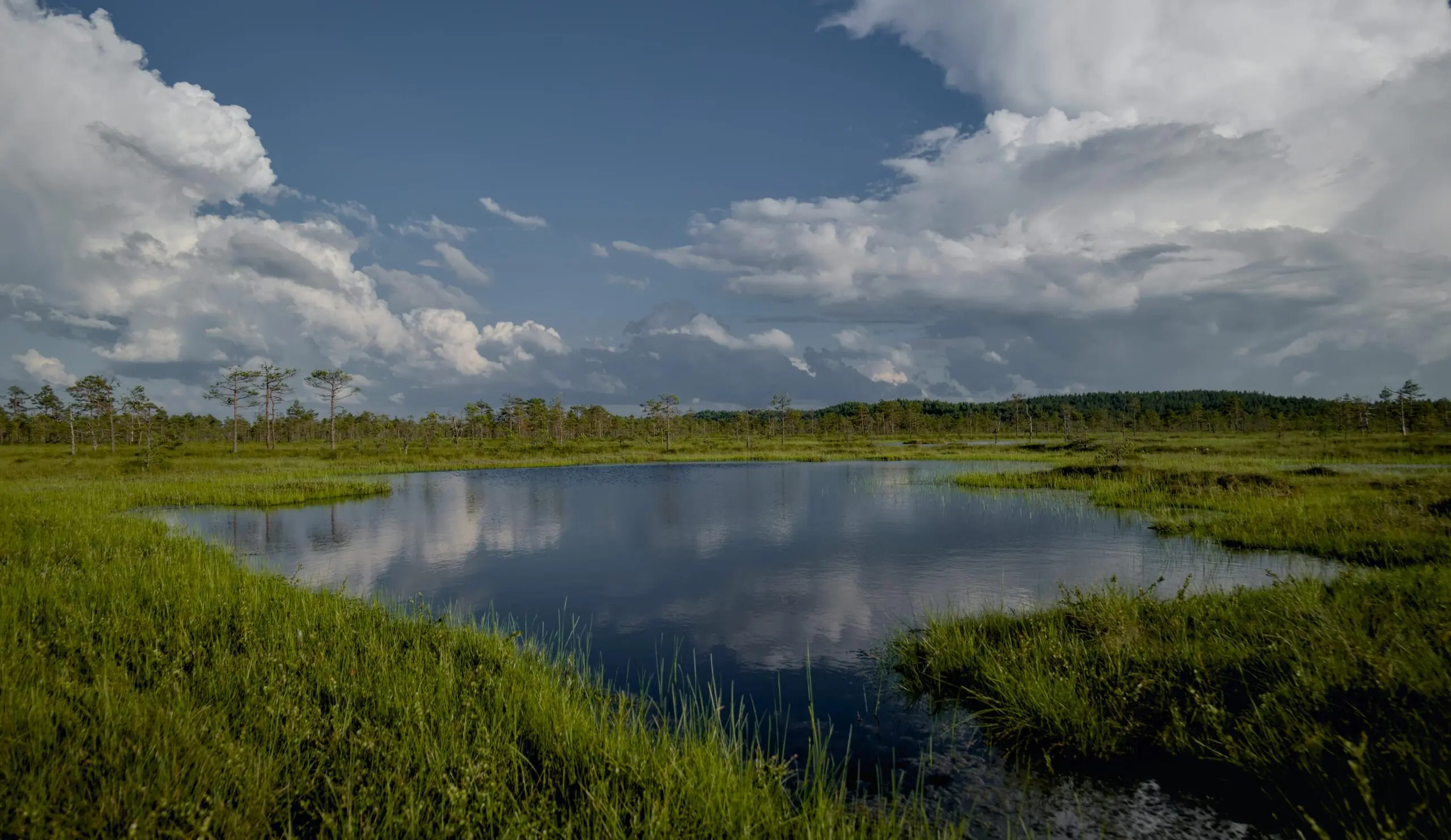 A scenic grass watery wetland area.