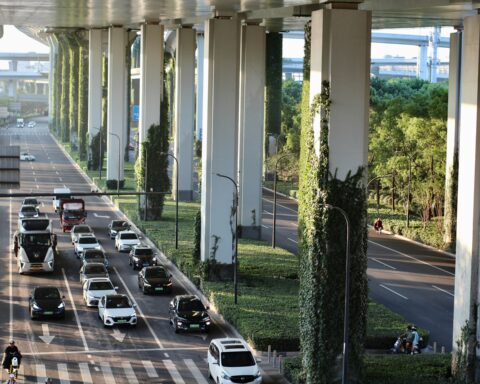Cars under an overpass held up by concrete pillars covered in vines, moss and greenery.