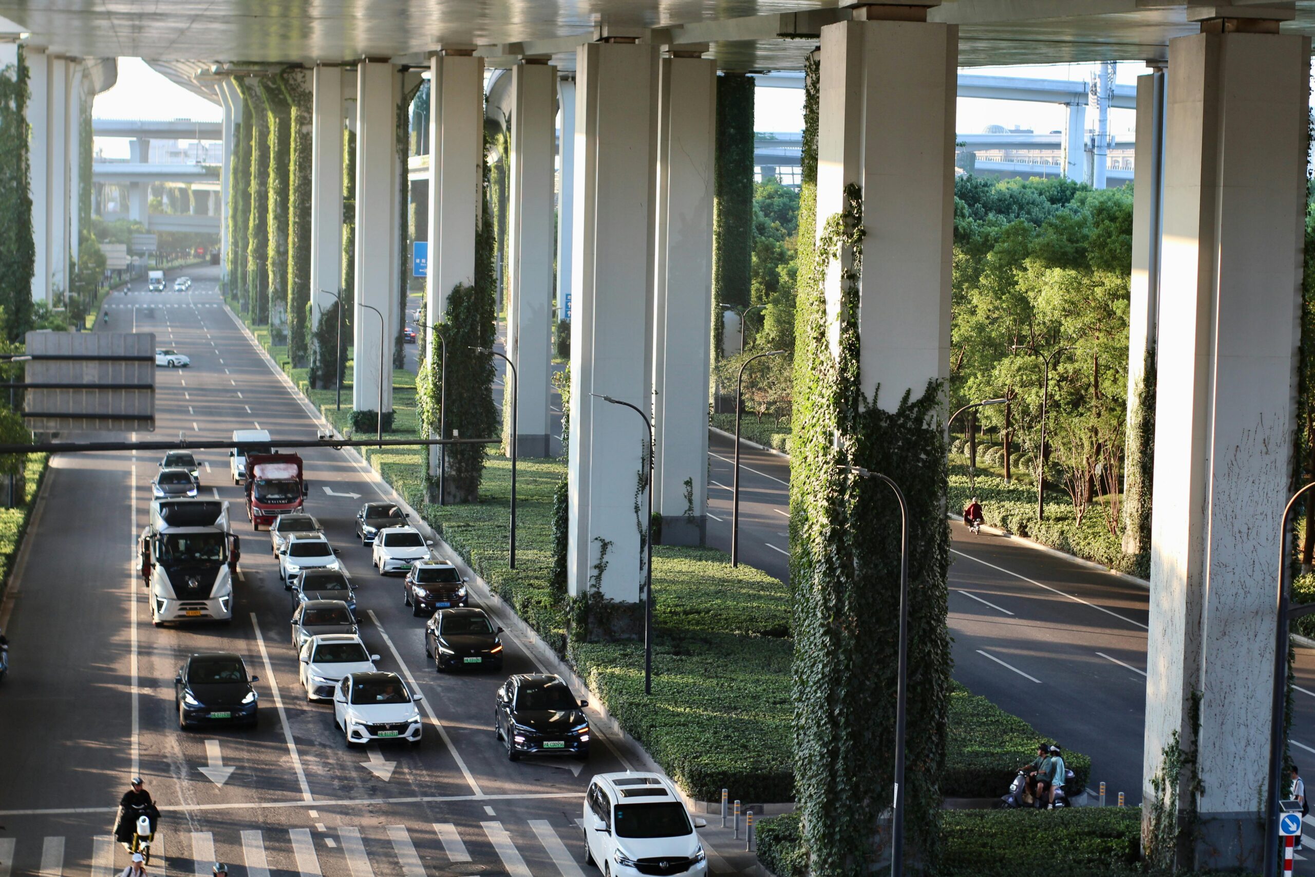 Cars under an overpass held up by concrete pillars covered in vines, moss and greenery.