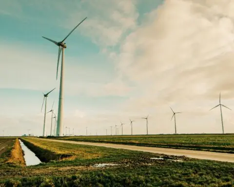 Wind turbines.