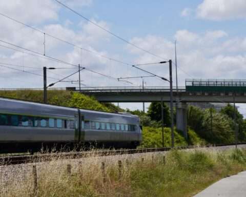 A train along rail tracks and beneath a bridge and tall green and yellow grass.