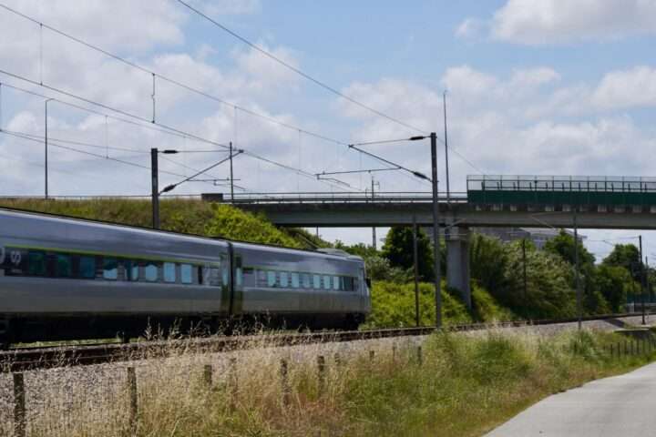 A train along rail tracks and beneath a bridge and tall green and yellow grass.